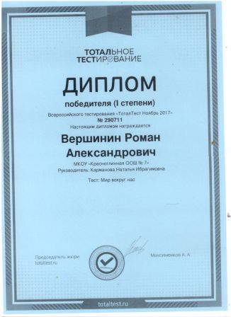 Всероссийское тотальное тестирование, Диплом 1 степени, 207 г.