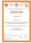 Диплом за участие в  региональном конкурсе  творческих педагогических проектов номинация «Так зажигают звезды»