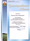 Благодарственное письмо, Администрация Толмачевского сельского совета", 2016 г.